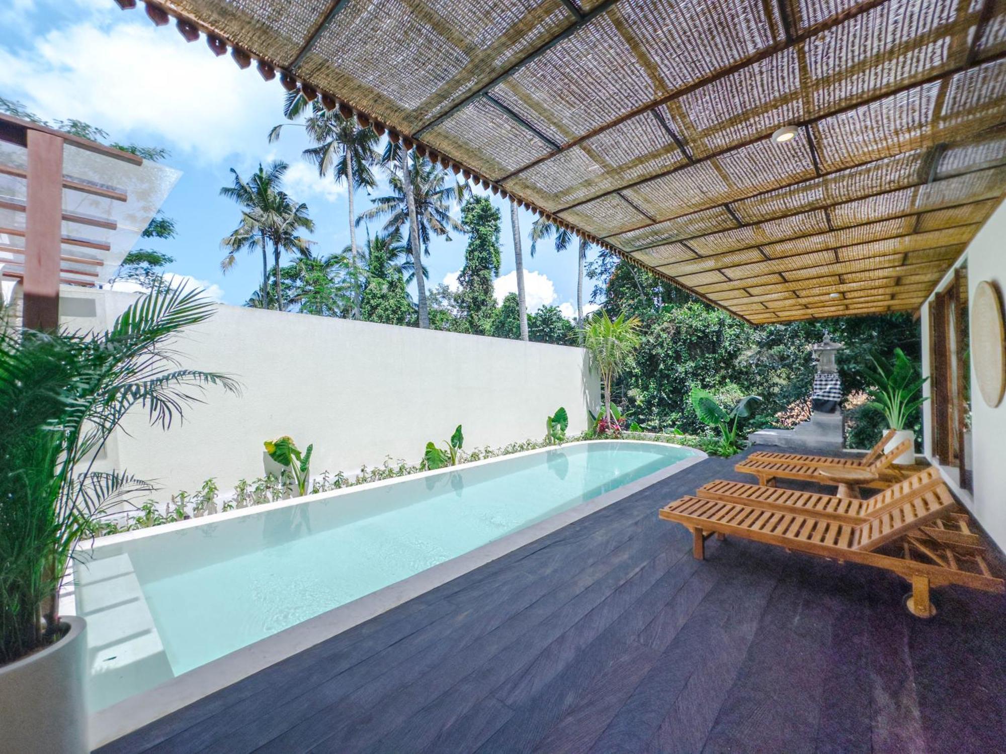 Abangan Palace - Jungle View